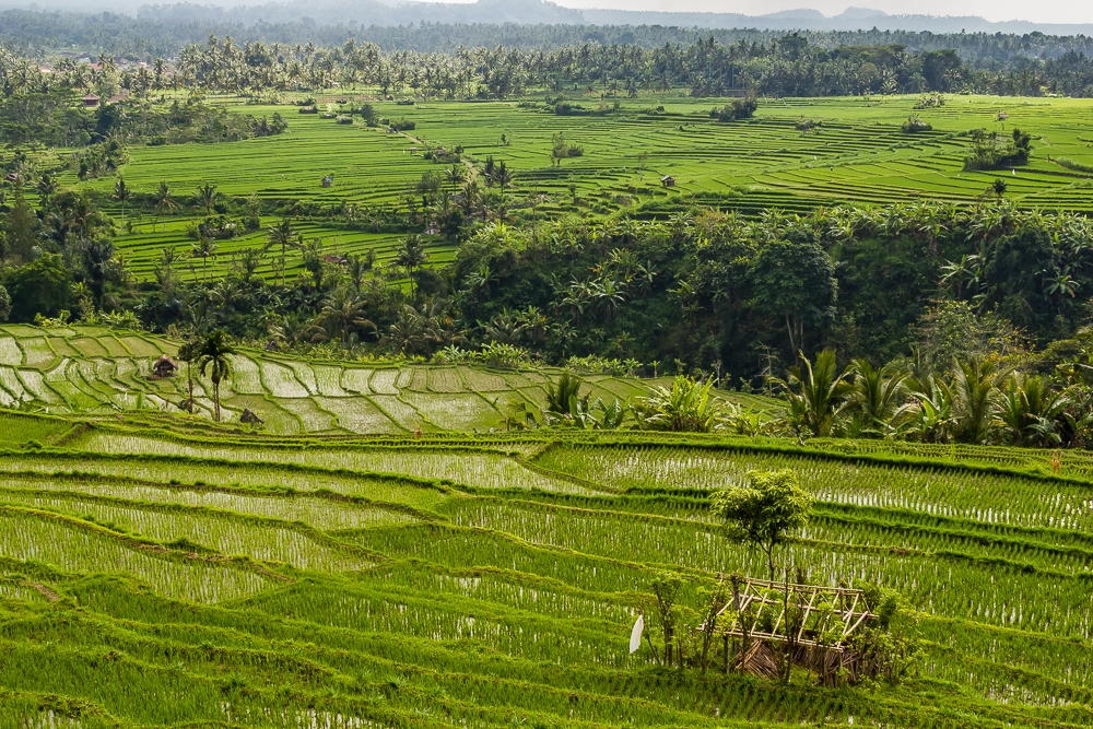 Indonesia