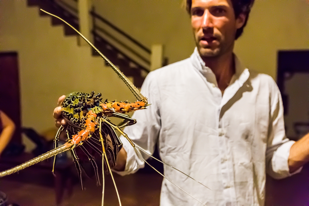 Lobster
