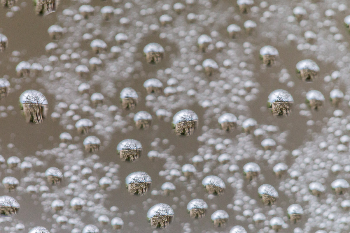 Macro