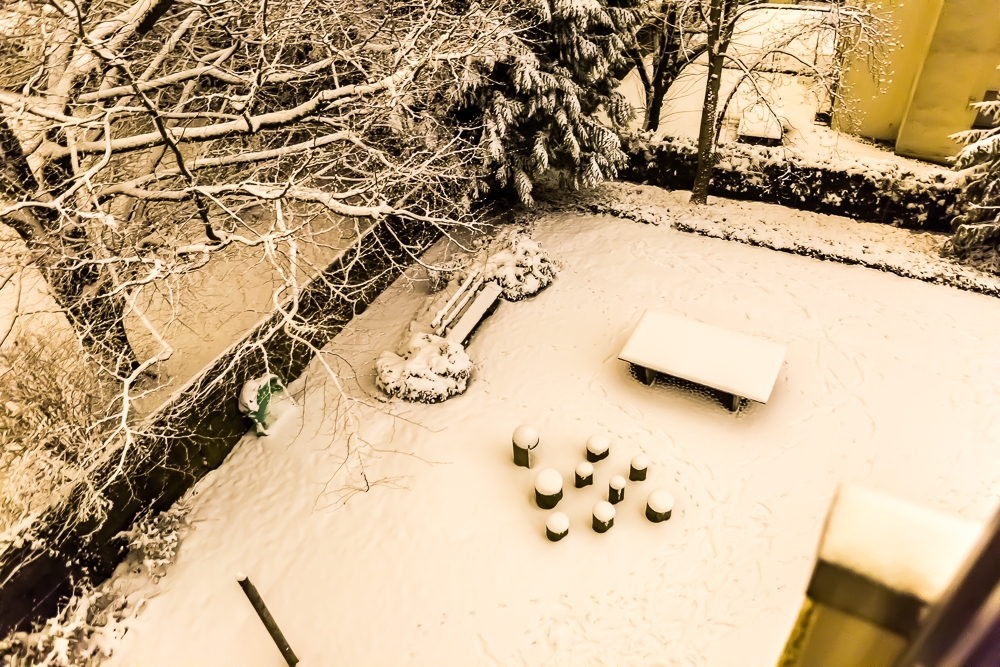 Nieve