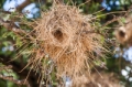 Date: Thursday, September 13, 2012 Focal length: 300.0 Shutter: 1/200 Aperture: F/9.0 ISO: 250 